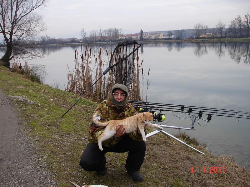 THE BIGS OF 2011 - gatto.jpg